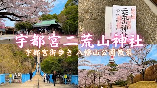 【桜満開】八幡山公園でお花見｜宇都宮二荒山神社で御朱印を頂く【Vlog】