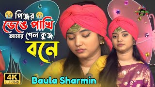 বাউলা শারমিনের নতুন কষ্টের গান😭পিঞ্জর ভেঙে পাখি আমার গেল কুঞ্জ বনে😭Pinjor Venge Pakhi Amar