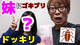 女子高生の妹にお年玉ゴキブリドッキリ仕掛けた結果！