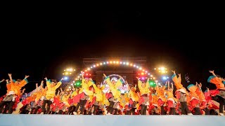 [4K] 名古屋学生チーム『鯱』　にっぽんど真ん中祭り 2019 どまつり ファイナル演舞