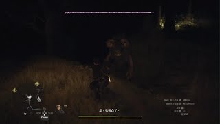 龍族教義2  Dragon's Dogma 2  晚上突然遇到牛頭怪！