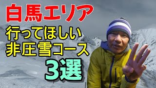 パウダー、フリーライド　白馬エリアのスキー、スノーボードで行ってほしい非圧雪コースを紹介します