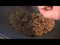 small scale sorghum grain harvest winnowing and 3d printed huller