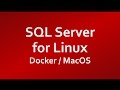 Installing SQL Server for Linux on Docker Container (on Mac)