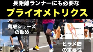 「長距離ランナーにも必要なプライオメトリクス」ヒラメ筋の重要性・薄底シューズの勧め