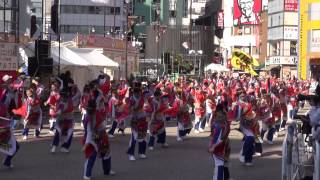 Summer Zipper＠2013　東京よさこい