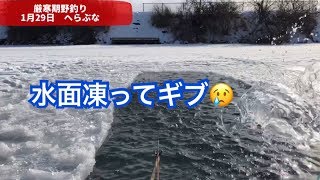 【へらぶな釣り】水面凍って釣りならないオデコ小野寺農園TV【最強寒波】