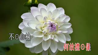 洞房春暖 郭飛鴻 潘千芊 音乐版