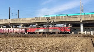 2020.12.13 宇都宮線 貨物列車 EH500\u0026EF65　 3064レ, 3087レ, 配8592レ, 3074レ, 3086レ