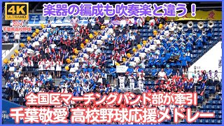 千葉敬愛 高校野球応援メドレー2024 全国区マーチングバンド部が今年もカッコよく牽引 楽器のベルは全て前向きで音がバンバン飛んでくる！毎年味わいたい応援の1校（千葉県高校野球応援2024）