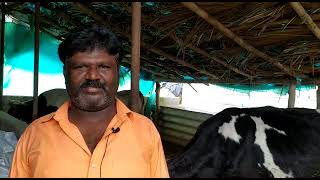 Sree Mounika Natural Cattle Feed. శ్రీ మౌనిక సహజ పశువుల దాణా.