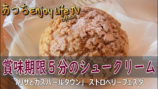 【山梨県富士吉田市】賞味期限5分のいちごシュークリーム　「リサとガスパールタウン」　ストロベリーフェスタ