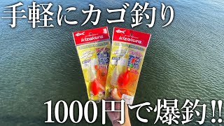 たった1000円で規格外の青物が連発！初心者用ライトカゴ釣り仕掛けの本気がやばすぎました…
