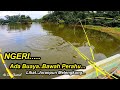 NGERI...ADA BUAYA DI BAWAH PERAHU SAAT MANCING IKAN TOMAN