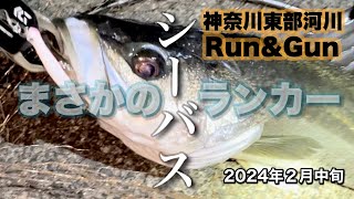 ［ナイトシーバス］結果しか出さないルアー！まさかのランカー！