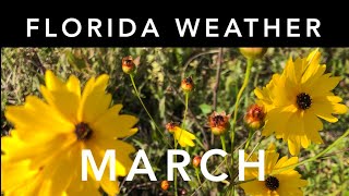 Florida Weather: March
