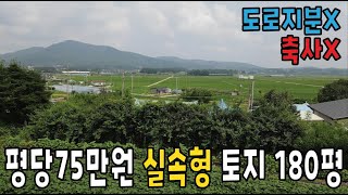 가성비 좋은 실속형 토지 180평 / 초지대교 15분 / 강화도토지 / 강화도부동산