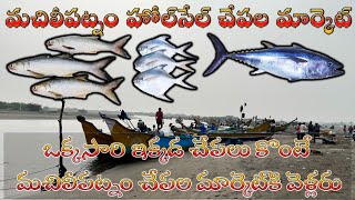 మచిలీపట్నం హోల్‌సేల్ చేపల మార్కెట్ | Biggest Fish market in Machilipatnam | Machilipatnam | Bandar