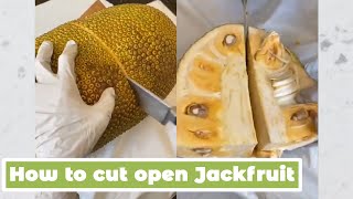 How to cut open Jackfruit | MyHealthyDish