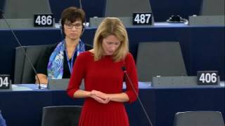 Kaja Kallas 24 Oct 2016 plenary speech on customs infringements and sanctions