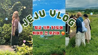 • Jeju vlog | 지친 건 아니고 살짝 기절할 정도?