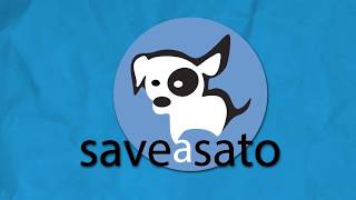 This is Save A Sato by Adrian Schwarz