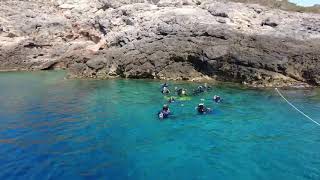 Diving Argentario