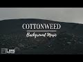 Cottonweed / Solo Piano Peaceful Sad Sentimental Background Music (Royalty Free)