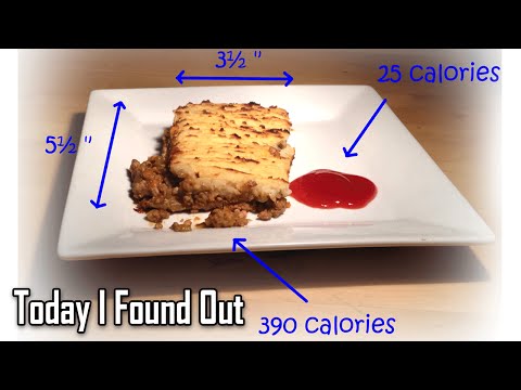 How The Calorie Content Of Food Is Determined How The Calorie Content Of Food Is Determined