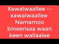 artist ittaanaa tolasaa xawalwaalle namamoo bineesaa....waan kee wallaalle