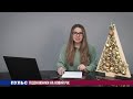 Підсніжники на Новий рік. Випуск від 26.12.2019