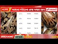 arenda na bhav 27 12 2024 એરંડાના ભાવ 2024 આજના એરંડાના ભાવ commodity trend arenda