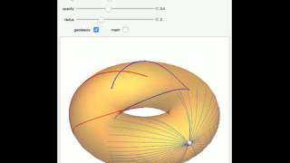 Geodesics and Conjugate Loci on a Torus