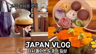 🌱 일본브이로그| 다시 돌아온 도쿄일상🇯🇵| 고급 커피의 정석☕️|잊지 못하는 인생 스시🍣 |꽃 같은 화과자 전문점🌸