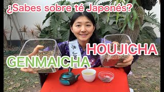 Todo sobre té Houjicha y Genmaicha por embajadora del té japonés