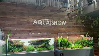 Aqua Show salon w Warszawie.