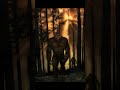 short episode 591 bigfoot monsters scary