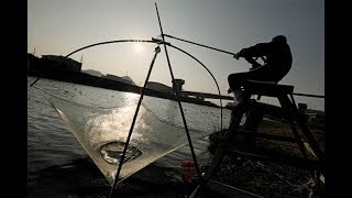 春告げる「シロウオ漁」＝和歌山県湯浅町