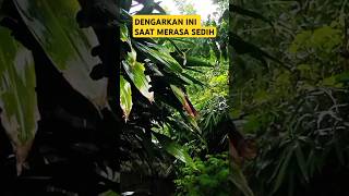 Kesedihan Terhenti Mendengarkan Ini