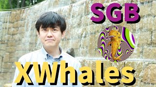 StaykX(STX)に上場予定！SGB-XWhalesとは？songbirdネットワークでNFTも展開