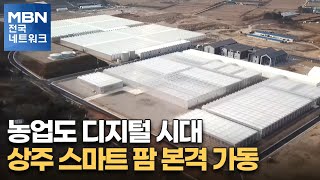 농업도 디지털 시대…상주 스마트 팜 본격 가동 [전국네트워크]