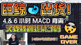 比特币 BTC | 巨鲸高位出货 ! 4 \u0026 6 小时 MACD 顶背离 | 狗庄拉盘只为了出货？| 【比特幣分析】BTC 比特幣 比特币 加密貨幣