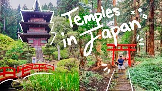 BIRTHDAY WEEKEND EXPLORING JAPAN! | MISAWA, JAPAN