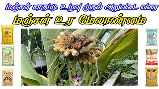 மஞ்சள் உர மேலாண்மை | Turmeric crops fertilizers management | மஞ்சள் சாகுபடி | Gramathan | Vivasayam