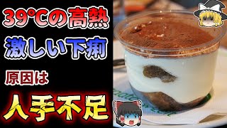 【ゆっくり解説】ティラミスで700人近くがサルモネラに感染 食中毒の原因は工場の人手不足？『ティラミスによる集団食中毒事例』【1990年】