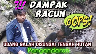 Melihat habitat udang galah ditengah hutan - PetualanganMada #13