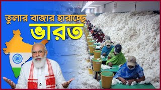 বিশ্ববাজারে ভারতীয় তুলার নাকানিচোবানি !! বাংলাদেশী বাদে কেউ কিনছে না ভারতীয় তুলা !! India cotton !!