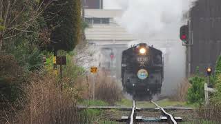 0135_【真岡鐡道　真岡駅】【SLとAppleが大好きリンゴCafe】　真岡鐵道　真岡駅　#チャンネル登録者500人達成