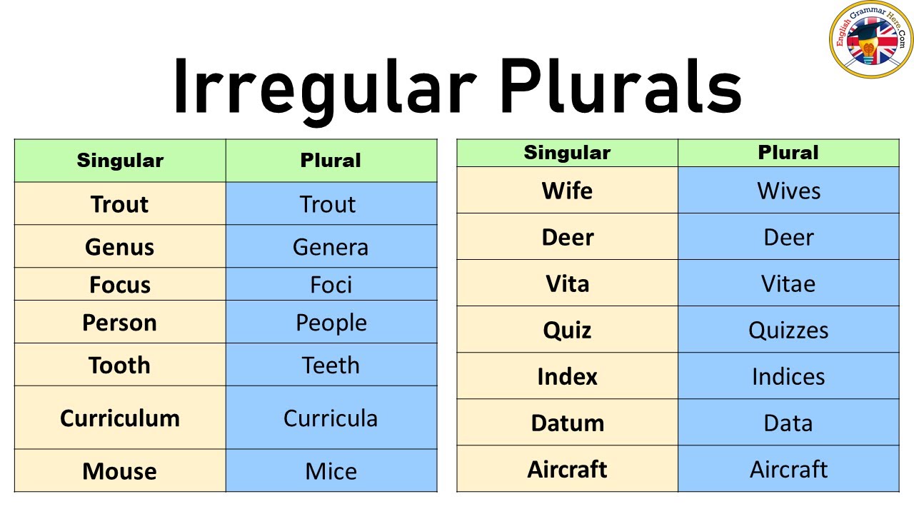 Irregular Plurals In English, Irregular Plurals Nouns List - YouTube