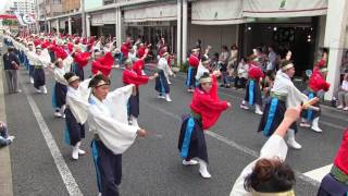 第63回よさこい祭り(2016/8/10)「ちかもり」